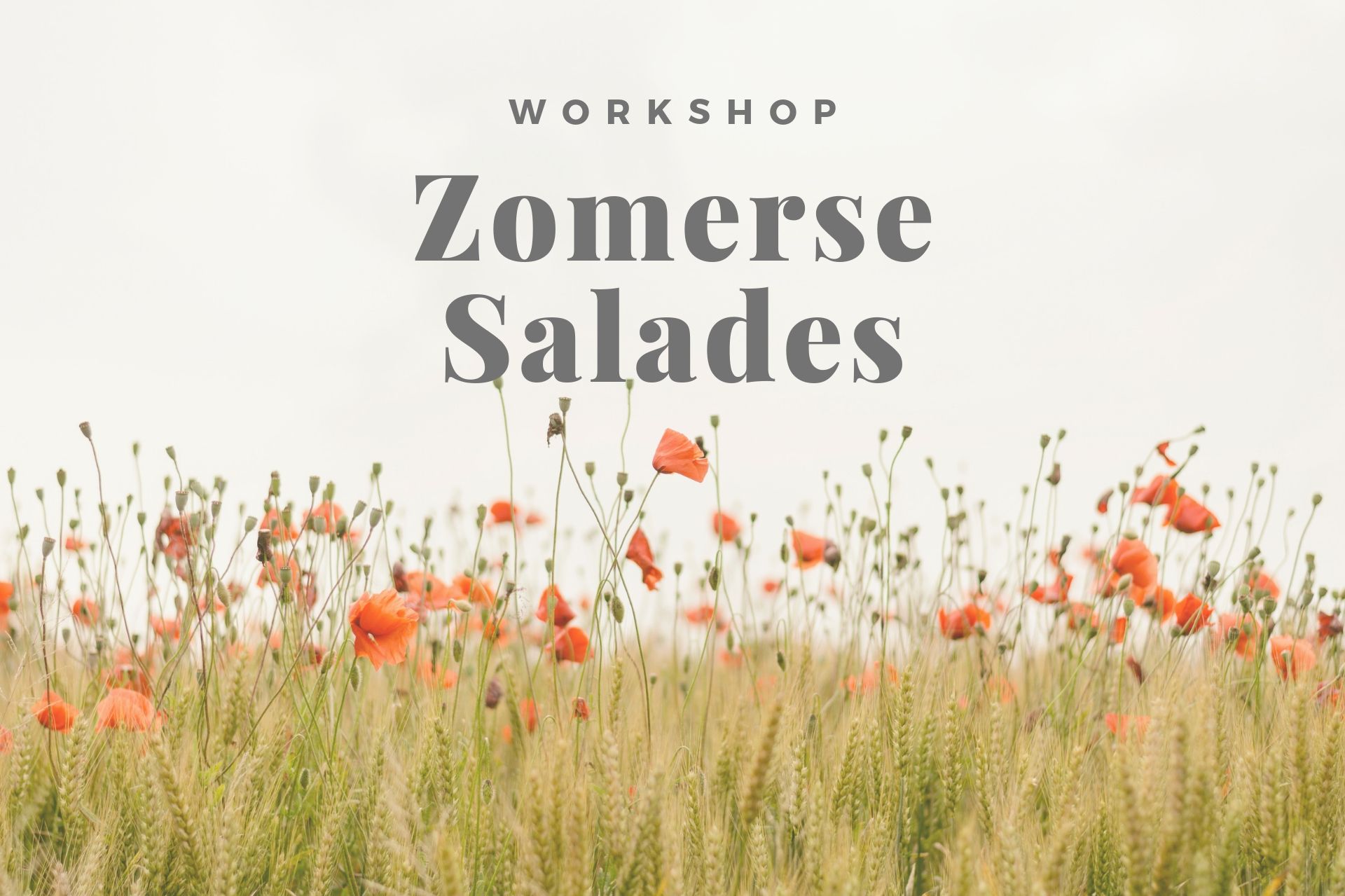 Workshop Zomerse Salades - image 1