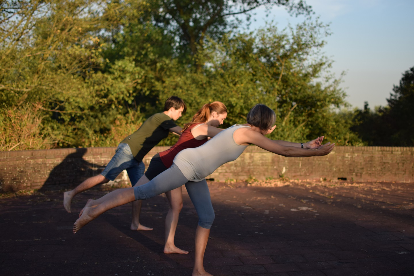 Workshop Chi Neng Qigong - Cranes Walk en 8 verses - image 3